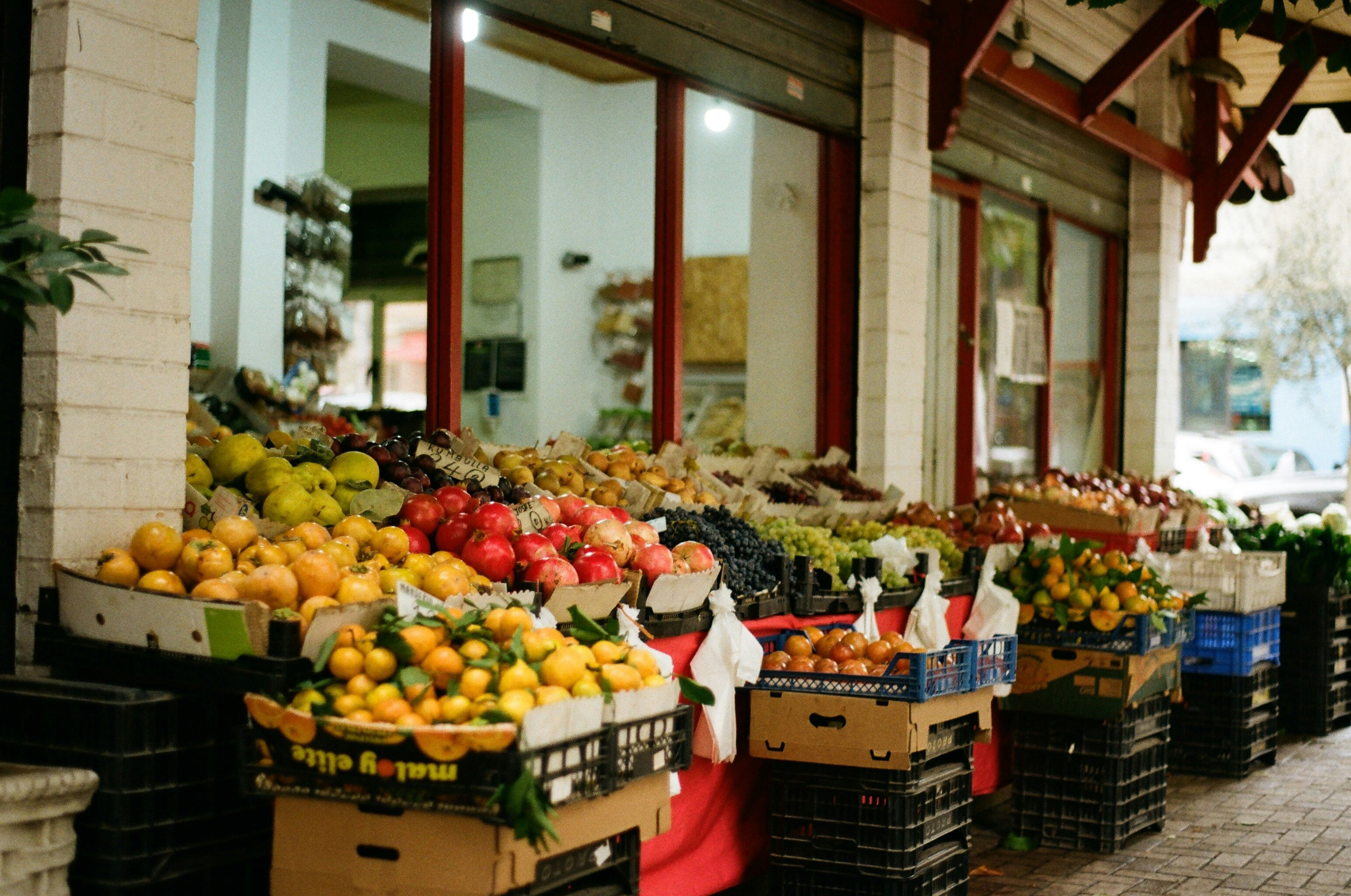 Excursions from Tirana