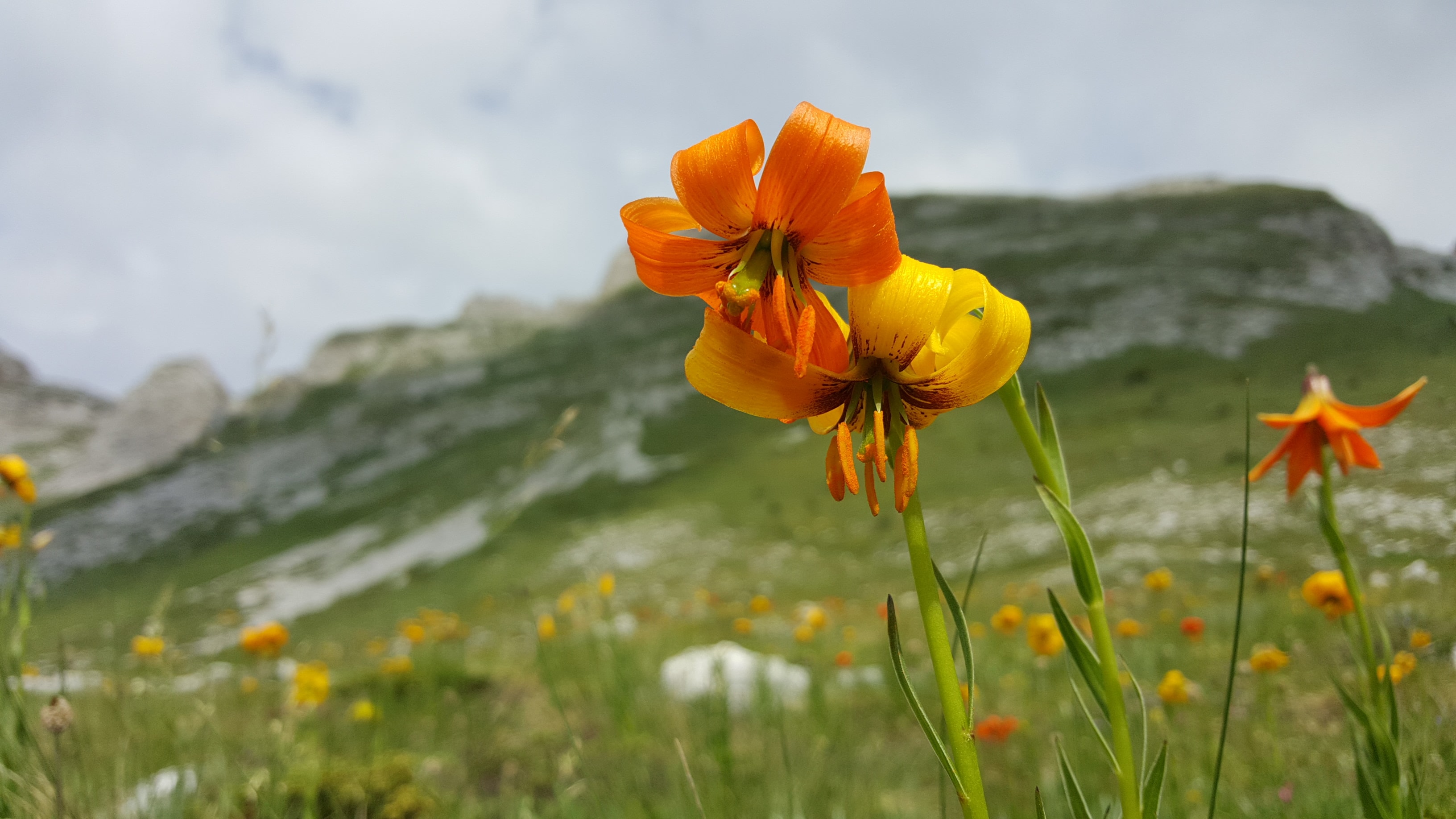 Best Time to Visit Albania and the Balkans